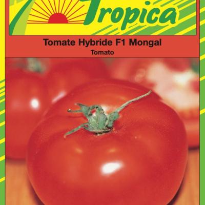 Tomate Mongal